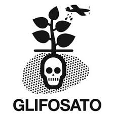 GLIFOSATO2501.png